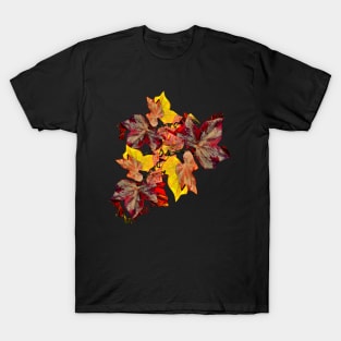 Autumn Leaves design 2 T-Shirt